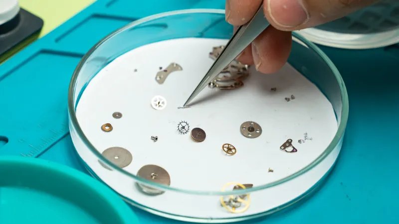 Phạm vi bảo hành: máy, pin và chống nước